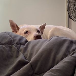 Meet your Posher, Carrie